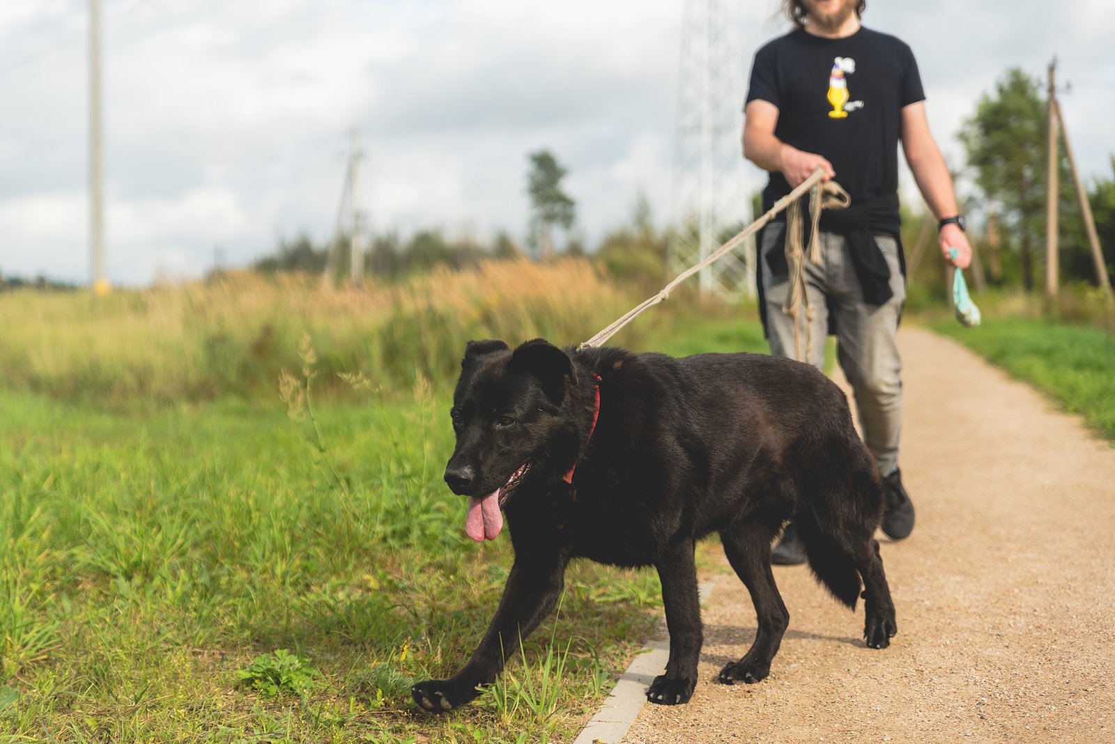 Fėja – portretas iš arti